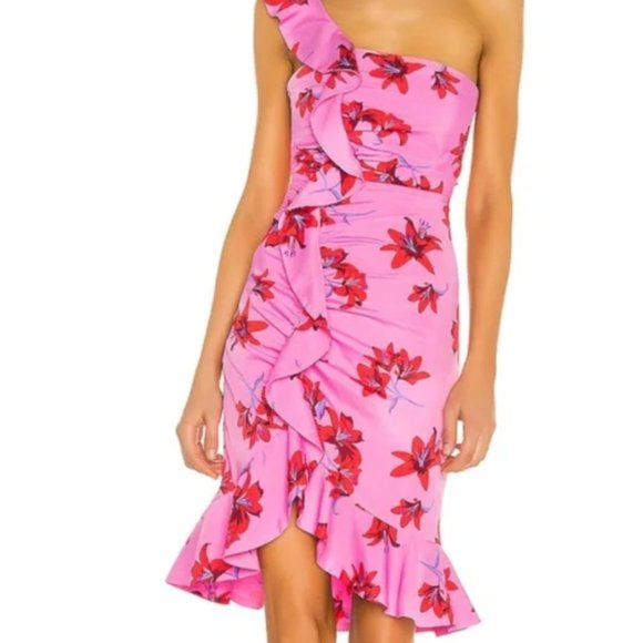 Likely Dresses & Skirts - LIKELY Lois Dress Red & Pink Multi Ruffle One Shoulder Dress, Size 4